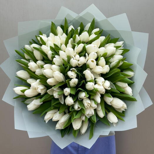 Вечная чистота – 101 белый тюльпан