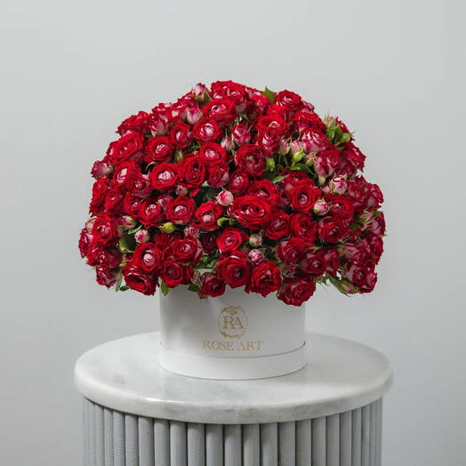 45 Roses Spray Rouges