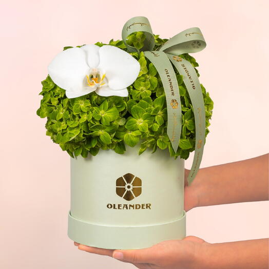 CAJA NUBE ESMERALDA COUTOURE