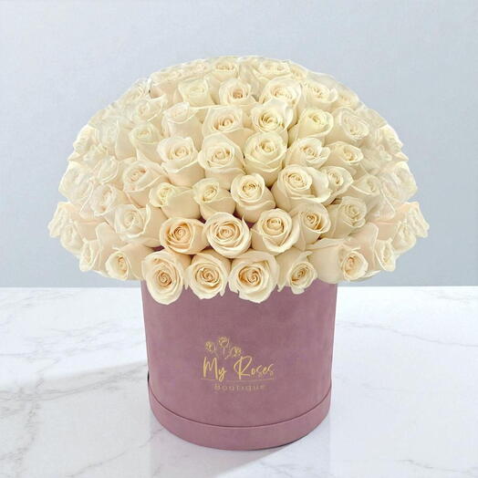 Lilac Velvet Box With 100 white Roses