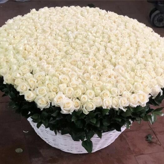 751 White roses in Giant Basket