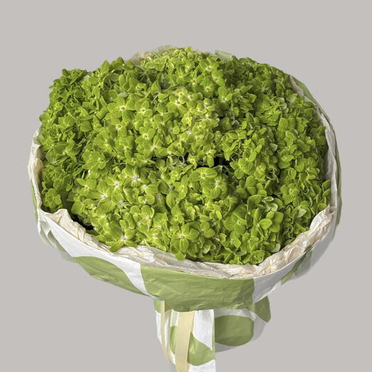 Green hydrangeas (15 pcs)