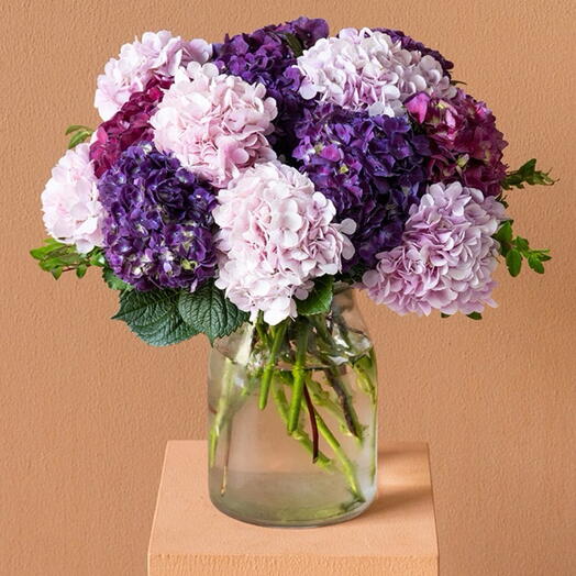 Susanah s Hydrangea Vase