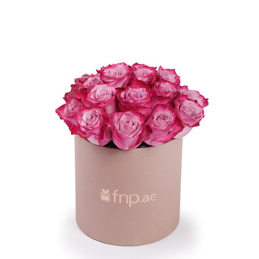 Фиолетовый Сумеречный Бокс