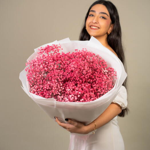 Розовая гипсофила