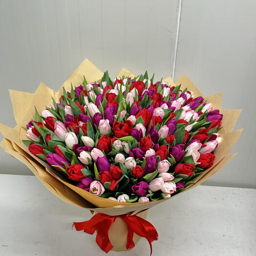 201 tulips ( red , violet , pink )