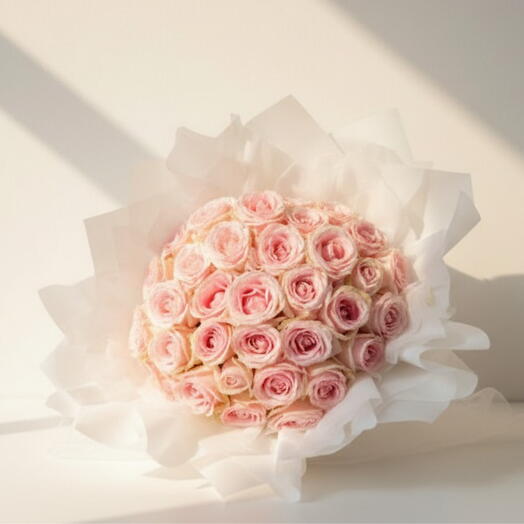 Titanic Pink Elegance