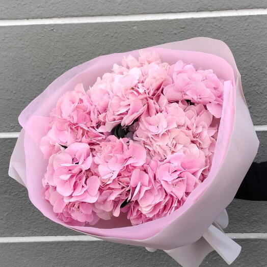 7 tallos -  Ramo de hortensia rosa