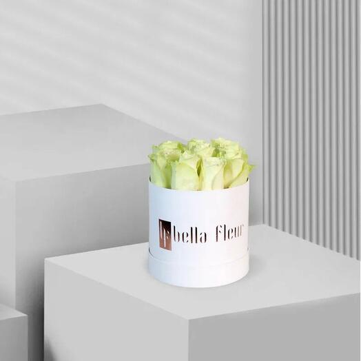 Aviona Bella Box - Small