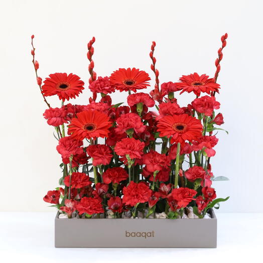Baaqat Premium Tray Arrangement