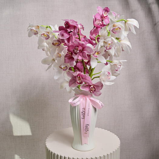 5 Stems of Cymbidium Orchids (Pink and White) 6582