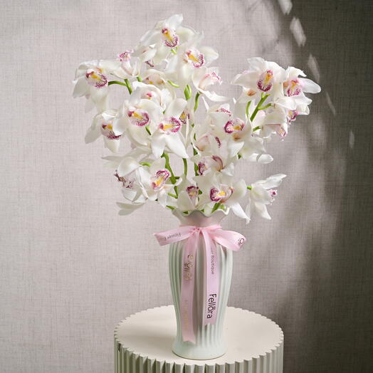 3 Stems of White Cymbidium Orchids 6591