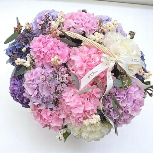 Hydrangea mix