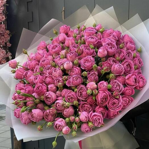 Piones bebe rose (51pis)