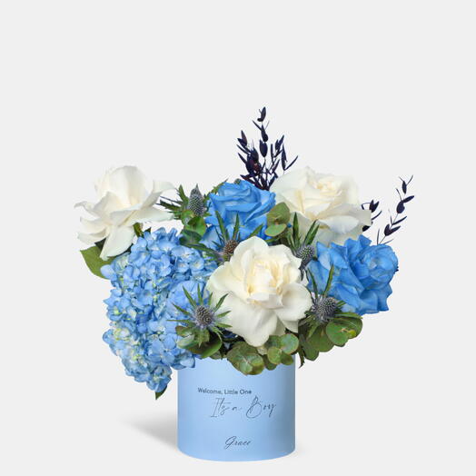 Baby Boy Blue Legacy в маленькой коробке