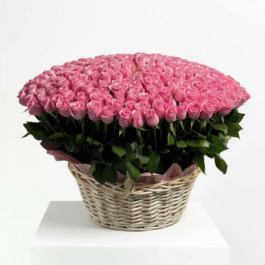 300 Pink Roses Big Basket