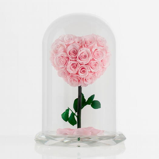 Forever rose pink heart