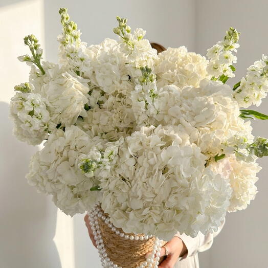 Белая Аура Корзина