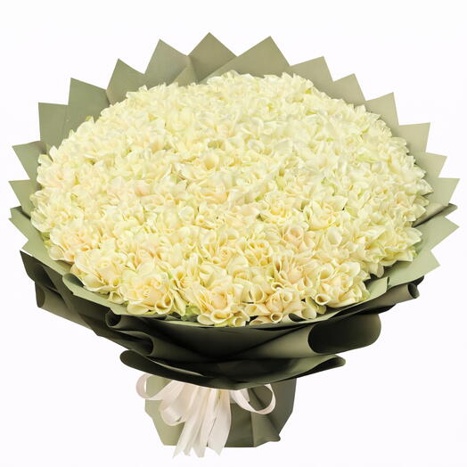 61 Белые Розы Элегантность