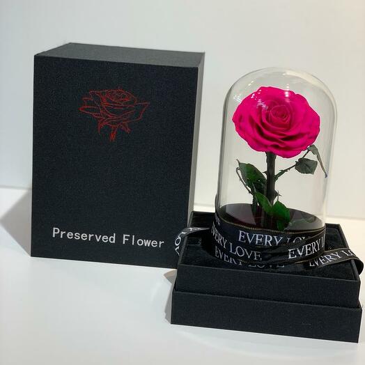 INFITEY РОЗА D/РОЗОВЫЙ