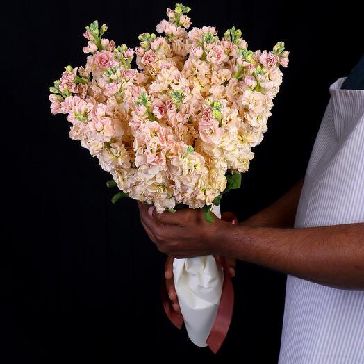 21 Peach Matthiola Bouquet-580