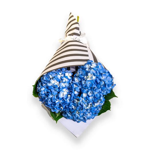 Three Hydrangea Blue