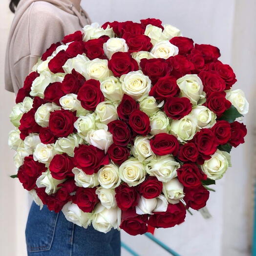 101 White and Red Rose