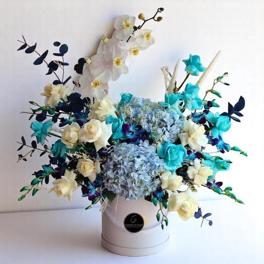 Стильная коробка джентльмена – белый фаленопсис, синие розы, гортензии   орхидеи