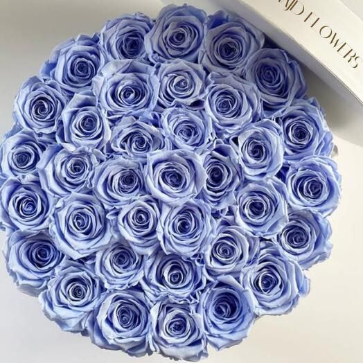 Mon Amour - Blue Large