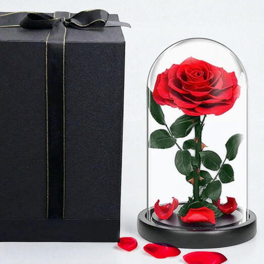 Красная вечная роза в стеклянном колпаке