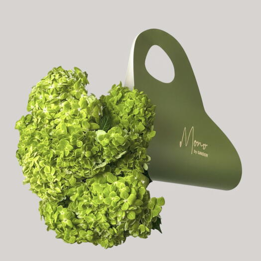 Green hydrangea (15 pcs)