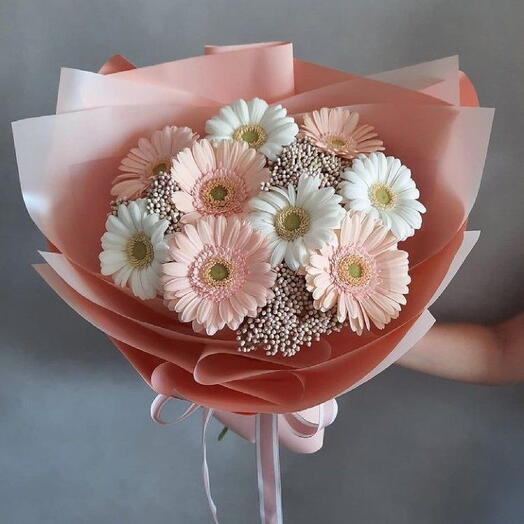 Blushing harmony gerbera special