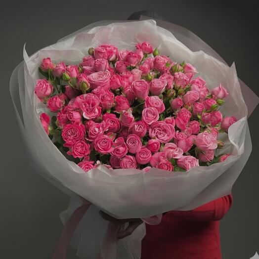 Roses de jardin premium Lady Bombastic