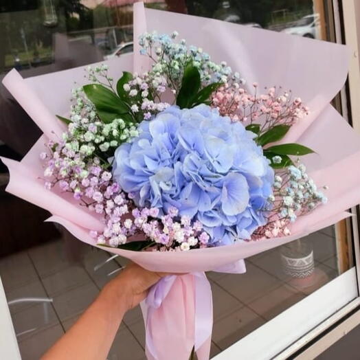 Single Blue Hydrangea