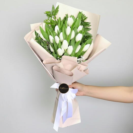 Tulip White Beauty