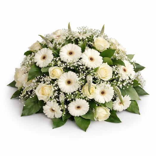 White daisy   rose dome