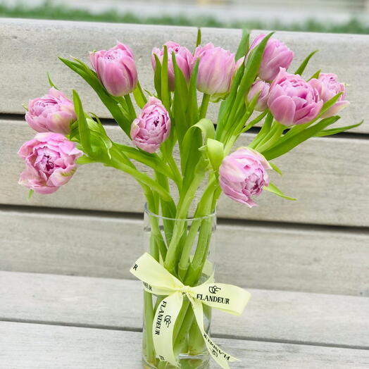 Розовый тюльпан