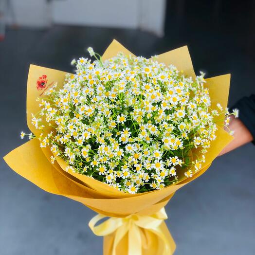 Bouquet de Matricaria