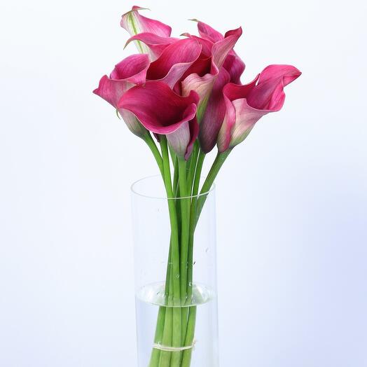 Темно-розовая калла- 568