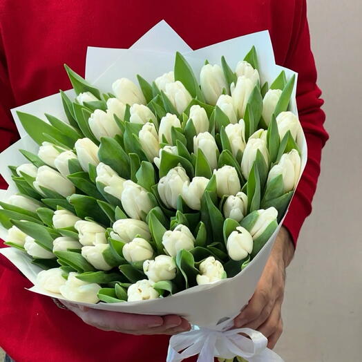 51 тюльпан симфония