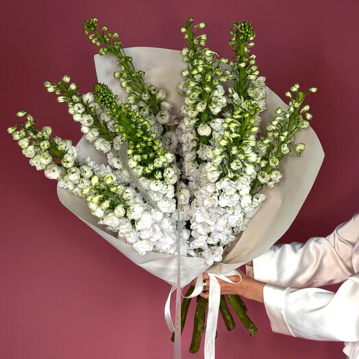 Delphinium Bliss: A Bouquet of 10 White Delphinium