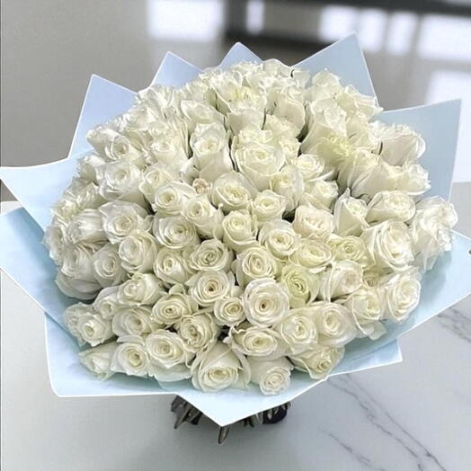 100 roses blanches
