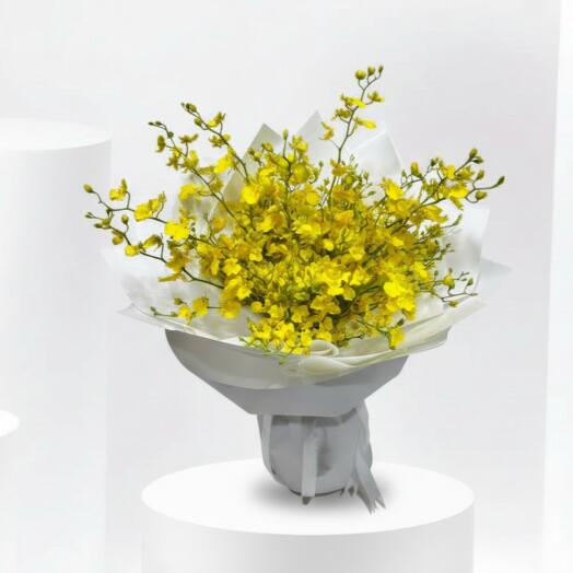 Dancing Lady Orchids