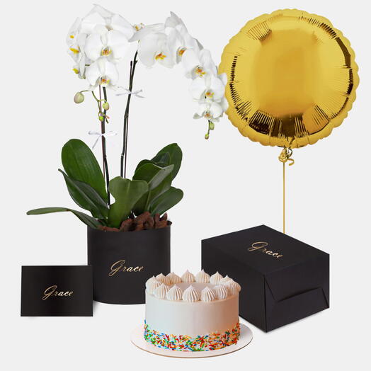 Orchids in Box with Funfetti Cake Bundle