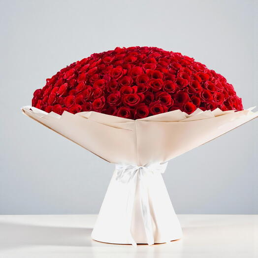 365 Potseluev- 365 Kisses (365 Поцелуев)