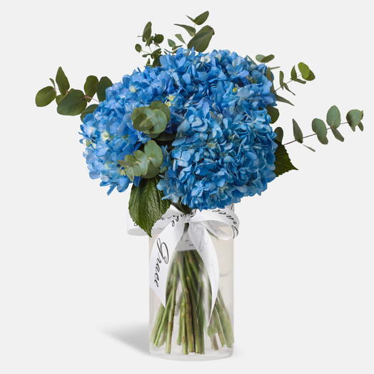 Голубая гортензия в вазе