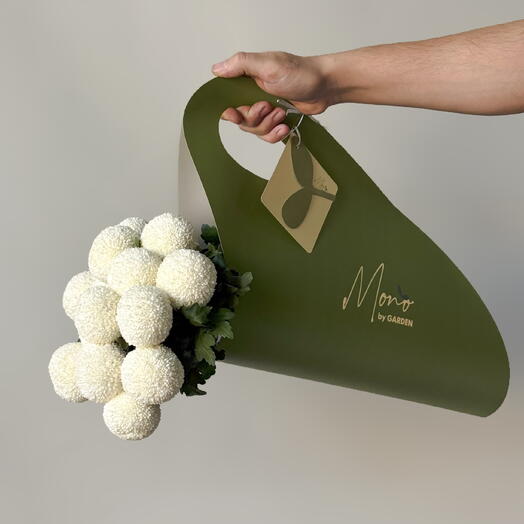 Ping Pong chrysanthemums (15 pcs)