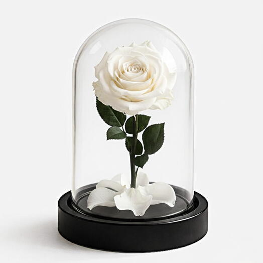 Forever White rose small