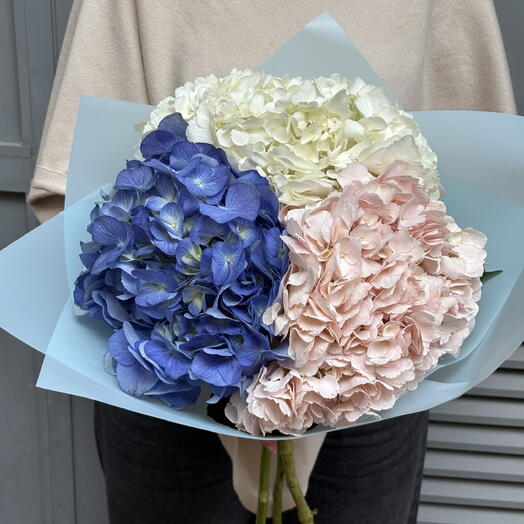 Bouquet mix hydrangeas