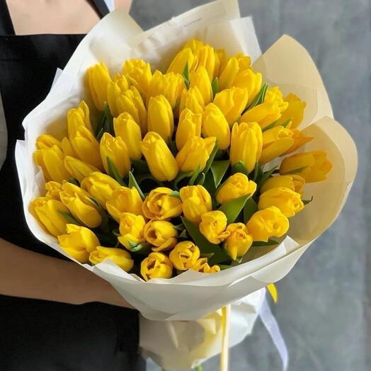 51Yellow tulip